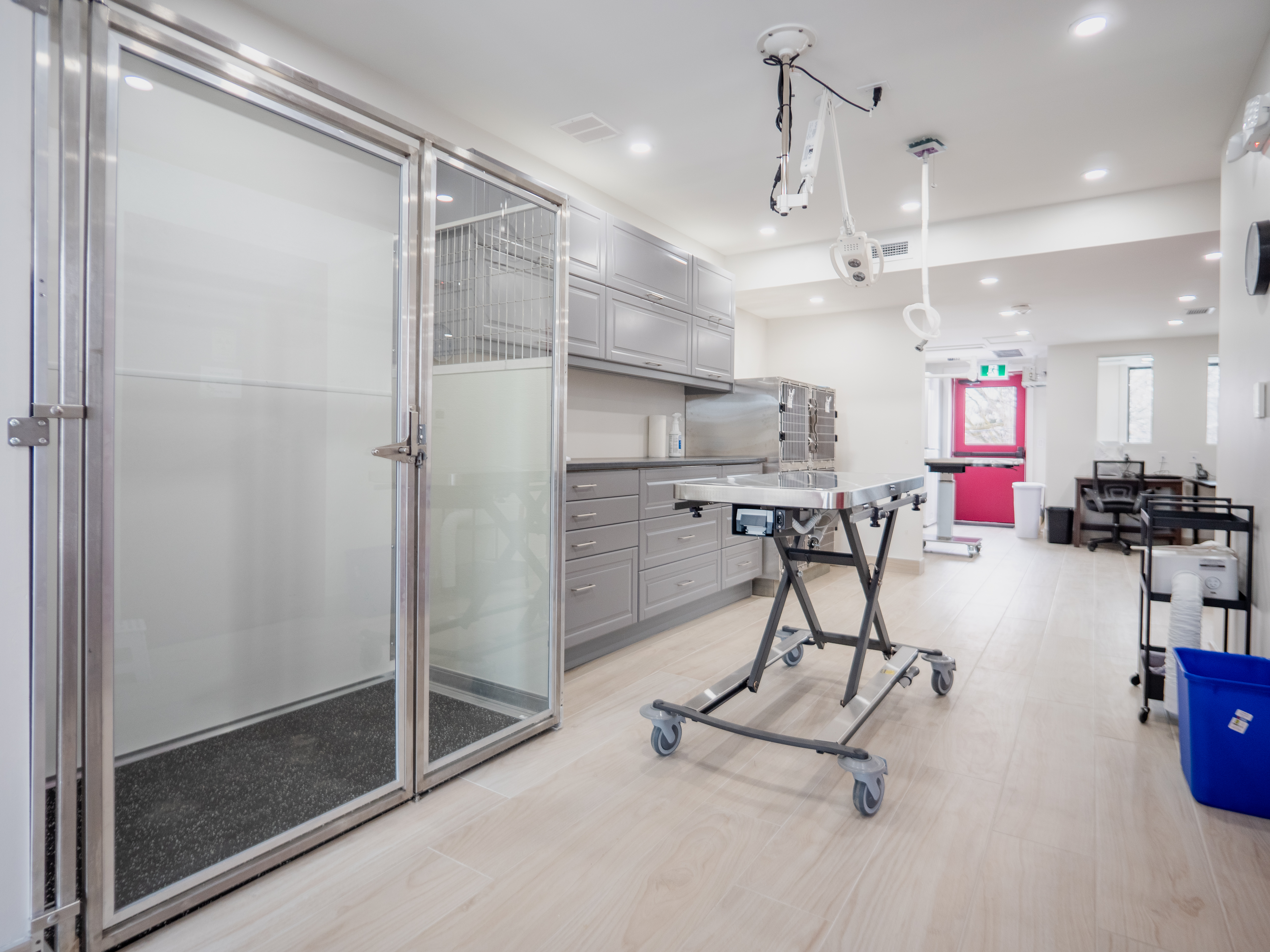 Alderwood Veterinary Clinic